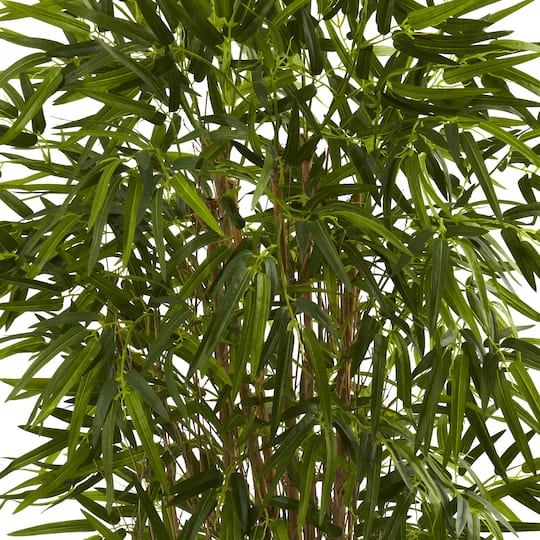 4ft. Potted Twiggy Bamboo Tree